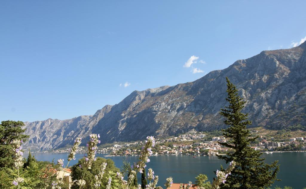 Villa Mima Κότορ Εξωτερικό φωτογραφία